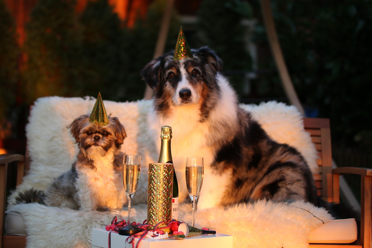 New year's day, sylvester, new year's eve 2015 — Atomic Wallet: Simplifying Your Crypto Journey