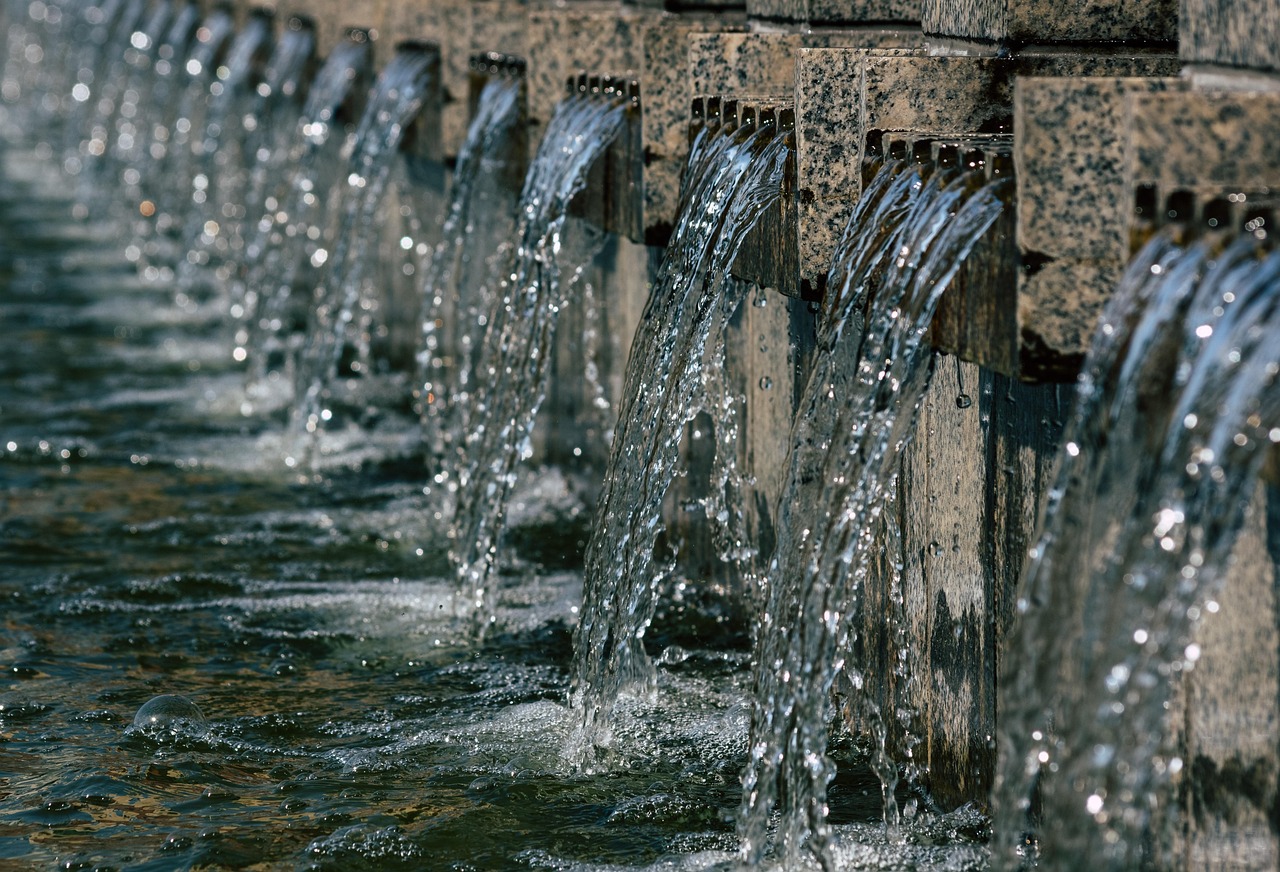 Fountain, beam, nature — Harnessing Bscscan for Smart Trading Decisions