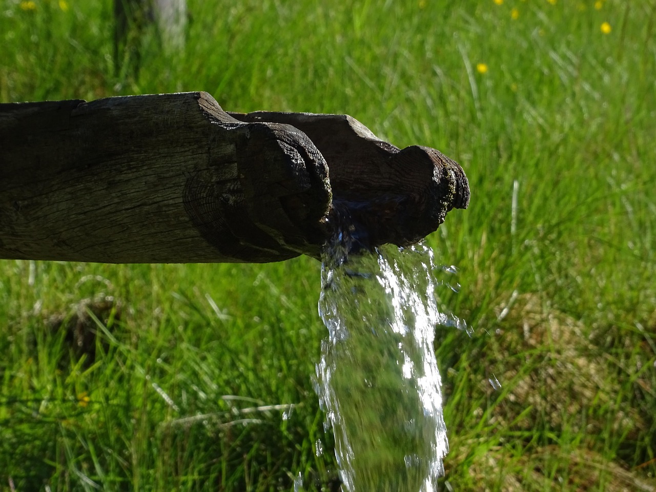 Water feature, meadow, watercourse — How Bscscan Empowers Traders with Blockchain Analytics
